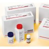 Albumin liquicolor (ALB)